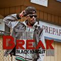 The Break In by Black Knight  | CD Reviews And Information | NewReleaseToday