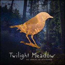 The Worlds We Discovered by Twilight Meadow  | CD Reviews And Information | NewReleaseToday