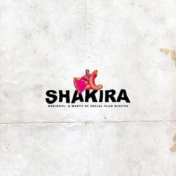 Shakira - Single by nobigdyl.  | CD Reviews And Information | NewReleaseToday