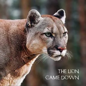 The Lion Came Down (Single) by Sophia Streams