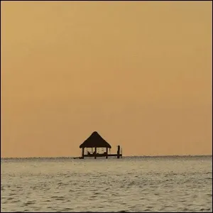 oasis for my soul (Single) by Strings And Heart