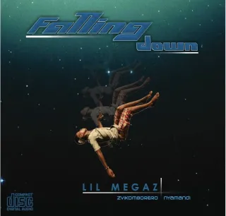 Falling Down by Lil Megaz Nyamandi