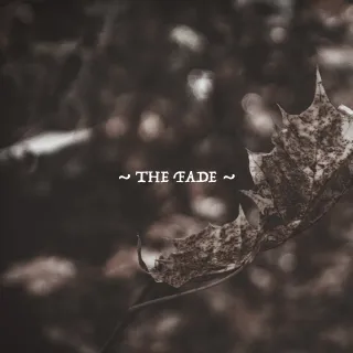 The Fade by Narrow Skies