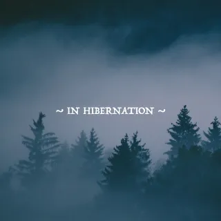 In Hibernation by Narrow Skies