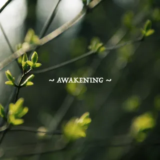 Awakening by Narrow Skies