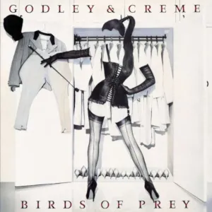 Birds of Prey by Godley & Creme