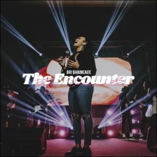 The Encounter by Bri Babineaux