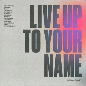 Live Up To Your Name (Single) by Danny Gokey