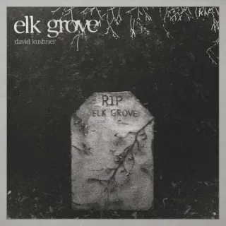 Elk Grove (Single) by David Kushner