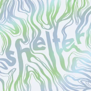 Shelter (Single) by Tamsin Frost