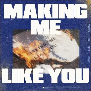Making Me Like You (Single) by VoxMusic