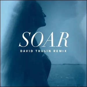 Soar (David Thulin Remix) (Single) by Kayla Berry