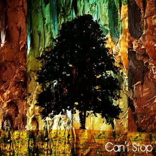 Can't Stop - Single by Jonathan Steingard