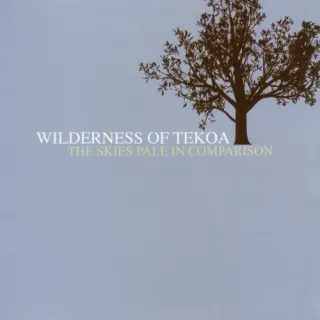 The Skies Pale In Comparison by Wilderness Of Tekoa