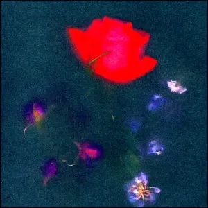 Hollow Grave (feat. Benjamin William Hastings) (Single) by Aodhan King