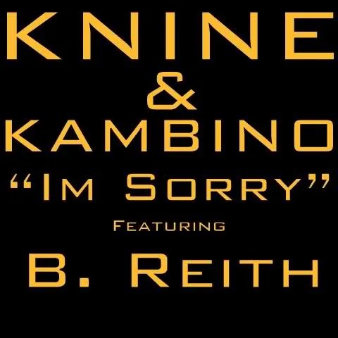 I'm Sorry - Single by Knine