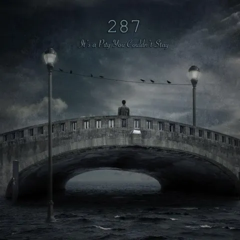 It's a Pity You Couldn't Stay by 287