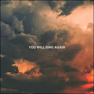 You Will Sing Again (Single) by CLINE