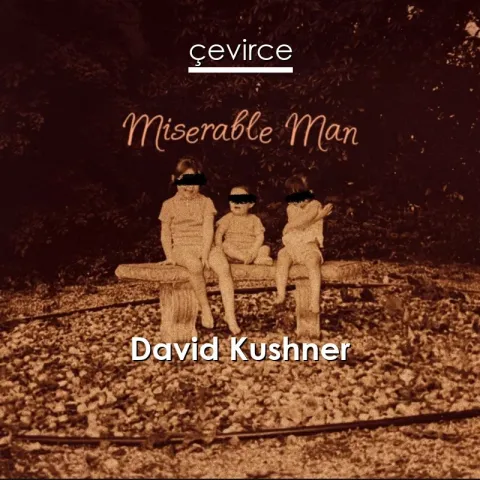 Miserable Man (Single) by David Kushner