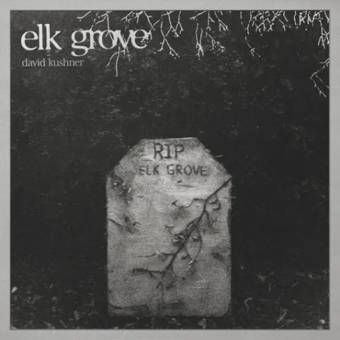 Elk Grove (Single) by David Kushner