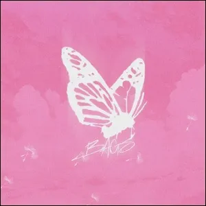 Bags (Single) by Jon Keith