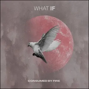 What If (Extended Single) EP by Consumed By Fire