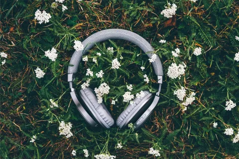 Spring Music 2026 Preview