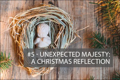 #5 - Unexpected Majesty: A Christmas Reflection