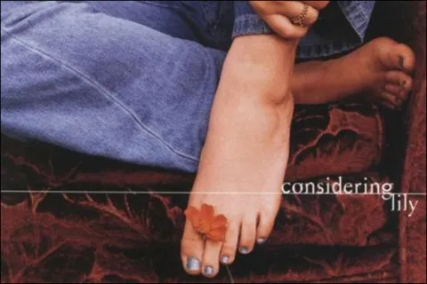 Considering Lily's Self-Titled Album Turns 25