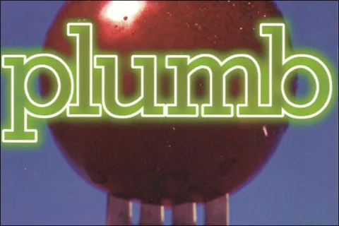 Plumb Celebrates 25 Years In Music