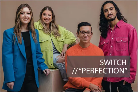 #1132 - "Perfection" Switch