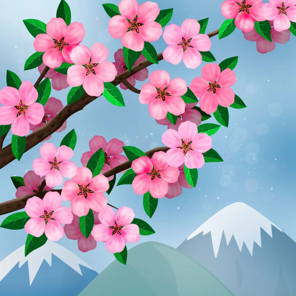 Lady Hummingbird Christian Music Artist Profile