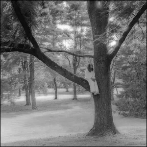 Trees (feat. weatherman) (Single) by Hollyn