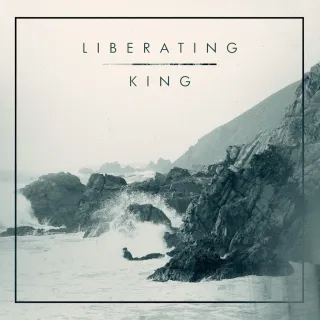 Liberating King by Stephen Miller