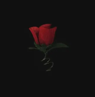 23 (mo-town) - Single by Ty Brasel