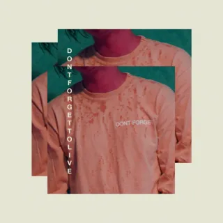Don't Forget To Live (Single) by WHATUPRG