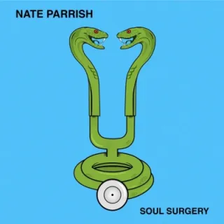 Soul Surgery by Nate Parrish