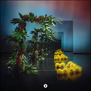 Better View (Deluxe) by Life.Church Switch