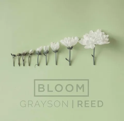 Bloom (Radio Version) (Single) by Grayson Reed