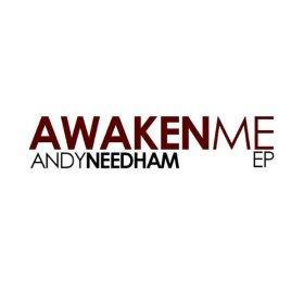 Awaken Me by Andy Needham Band  | CD Reviews And Information | NewReleaseToday