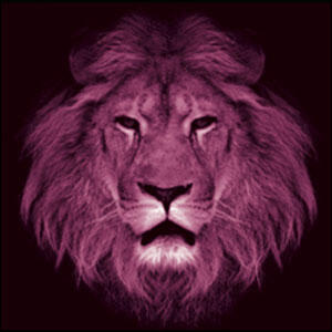 Praise Him (Deluxe Edition) - Single by The Royal Royal  | CD Reviews And Information | NewReleaseToday