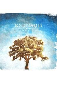 A View Beyond the Cave by Bernard  | CD Reviews And Information | NewReleaseToday