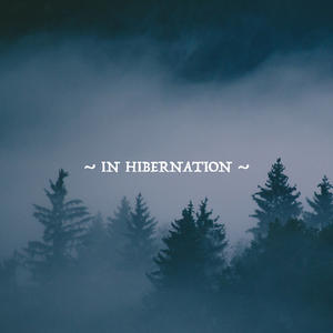 In Hibernation by Narrow Skies  | CD Reviews And Information | NewReleaseToday
