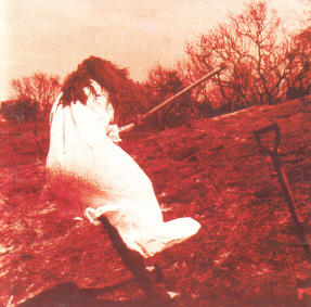 Dig by Adam Again  | CD Reviews And Information | NewReleaseToday