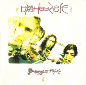 Struggle Fish by Dig Hay Zoose  | CD Reviews And Information | NewReleaseToday