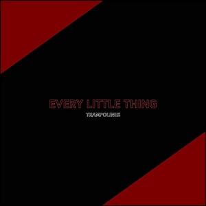 Every Little Thing (Single) by Trampolines  | CD Reviews And Information | NewReleaseToday