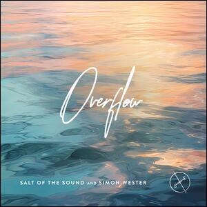 Overflow (feat. Simon Wester) (Single) by Salt Of The Sound  | CD Reviews And Information | NewReleaseToday
