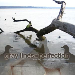 Evening Came and Evening Followed by Gray Lines of Perfection  | CD Reviews And Information | NewReleaseToday