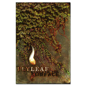 Beneath the Surface (DVD) by Flyleaf  | CD Reviews And Information | NewReleaseToday