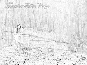 Vargo by Matthew Allen | CD Reviews And Information | NewReleaseToday